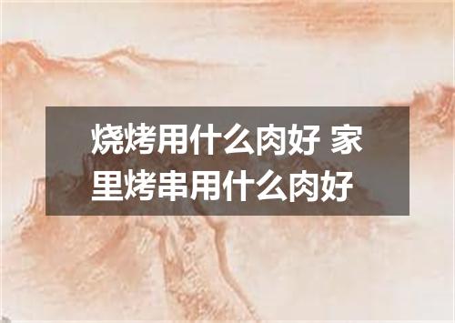 烧烤用什么肉好 家里烤串用什么肉好