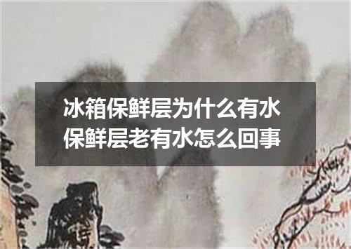 冰箱保鲜层为什么有水 保鲜层老有水怎么回事