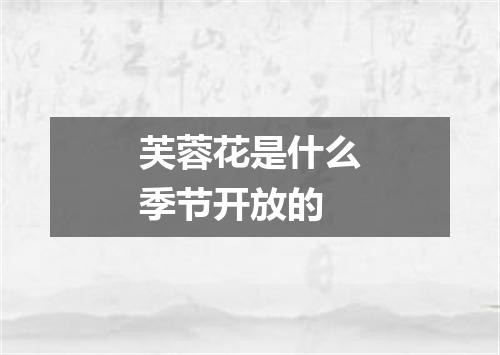 芙蓉花是什么季节开放的