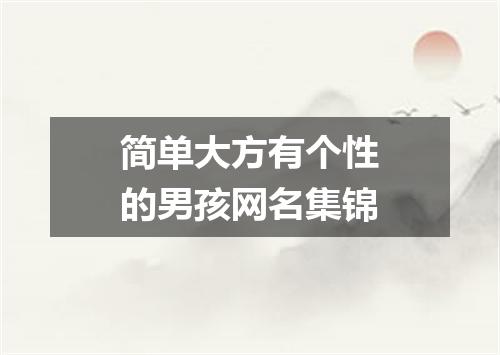 简单大方有个性的男孩网名集锦
