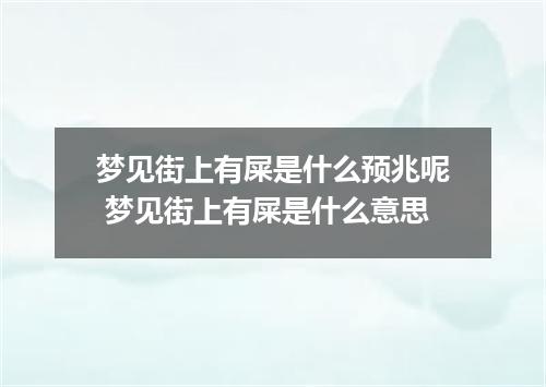 梦见街上有屎是什么预兆呢 梦见街上有屎是什么意思