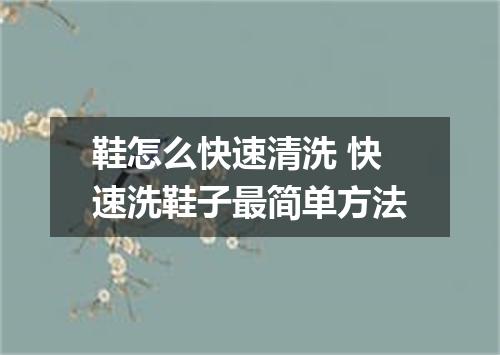 鞋怎么快速清洗 快速洗鞋子最简单方法