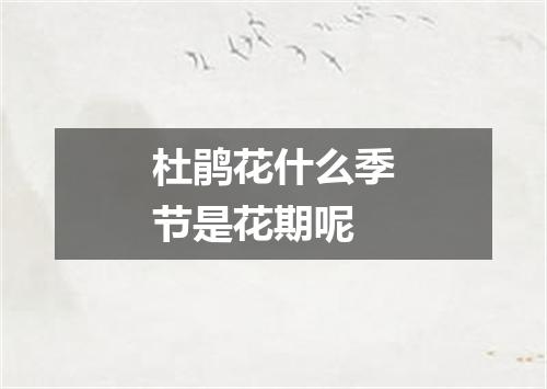 杜鹃花什么季节是花期呢