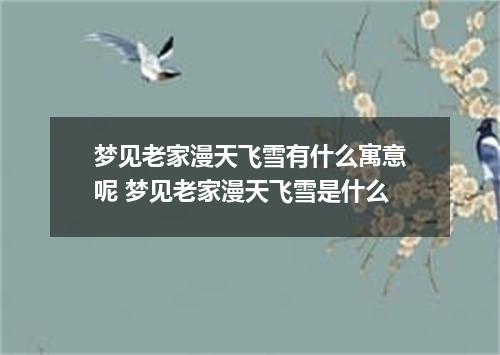 梦见老家漫天飞雪有什么寓意呢 梦见老家漫天飞雪是什么