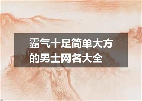 霸气十足简单大方的男士网名大全