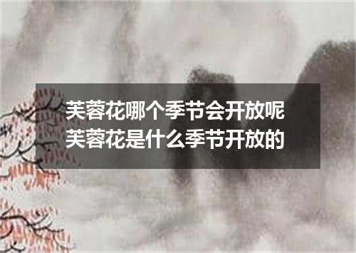 芙蓉花哪个季节会开放呢 芙蓉花是什么季节开放的