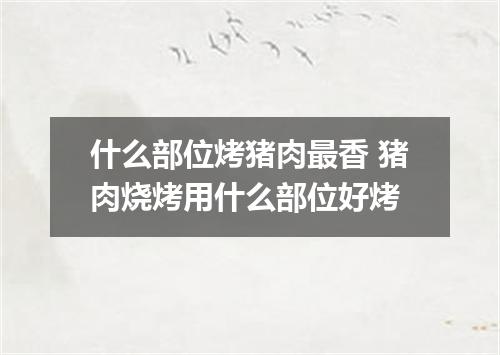 什么部位烤猪肉最香 猪肉烧烤用什么部位好烤