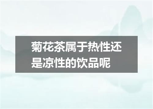 菊花茶属于热性还是凉性的饮品呢
