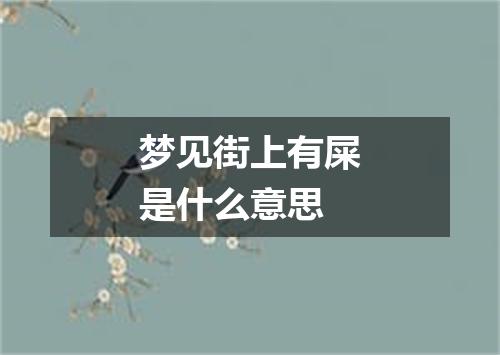 梦见街上有屎是什么意思