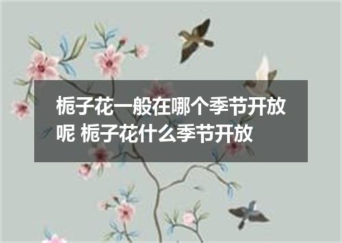 栀子花一般在哪个季节开放呢 栀子花什么季节开放