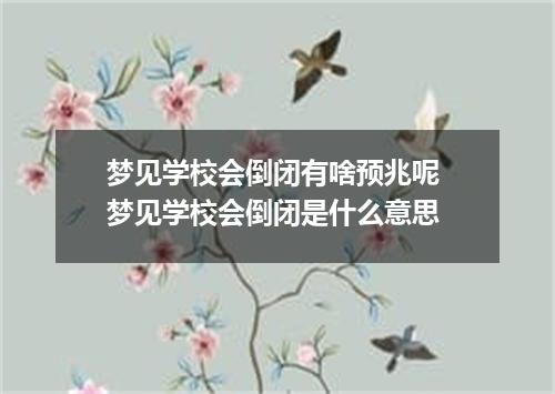 梦见学校会倒闭有啥预兆呢 梦见学校会倒闭是什么意思