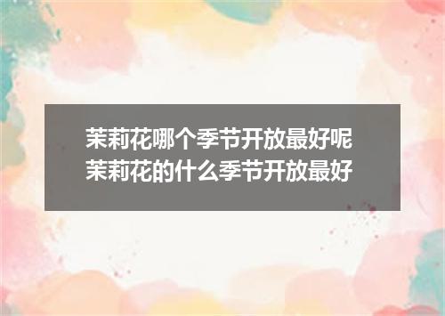 茉莉花哪个季节开放最好呢 茉莉花的什么季节开放最好