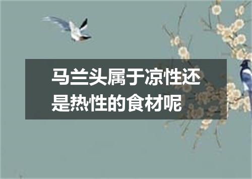 马兰头属于凉性还是热性的食材呢