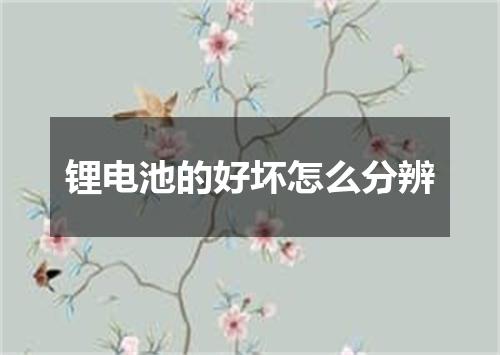 锂电池的好坏怎么分辨