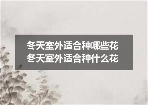 冬天室外适合种哪些花 冬天室外适合种什么花