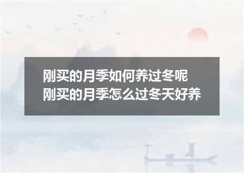 刚买的月季如何养过冬呢 刚买的月季怎么过冬天好养