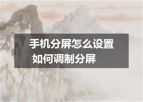 手机分屏怎么设置 如何调制分屏