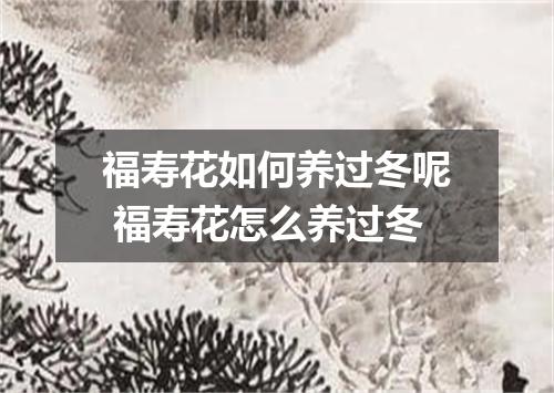 福寿花如何养过冬呢 福寿花怎么养过冬