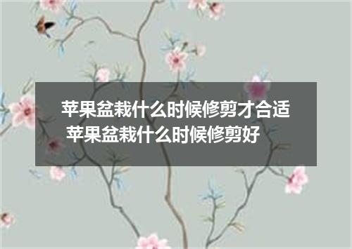 苹果盆栽什么时候修剪才合适 苹果盆栽什么时候修剪好