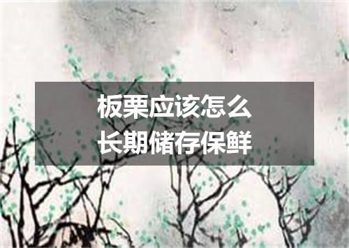 板栗应该怎么长期储存保鲜