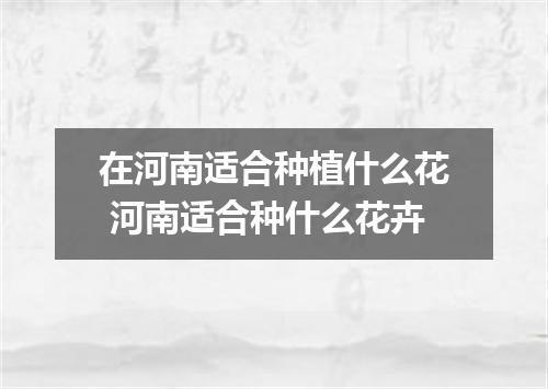 在河南适合种植什么花 河南适合种什么花卉