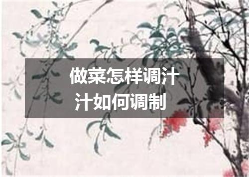 做菜怎样调汁 汁如何调制