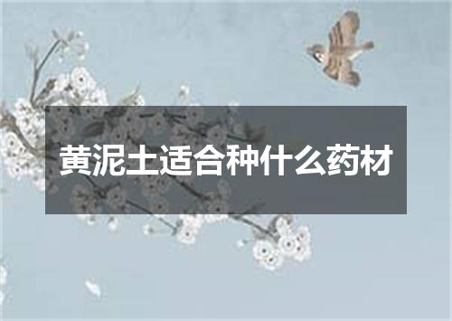 黄泥土适合种什么药材