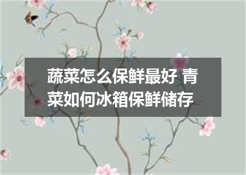 蔬菜怎么保鲜最好 青菜如何冰箱保鲜储存