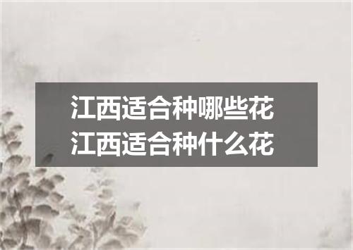江西适合种哪些花 江西适合种什么花