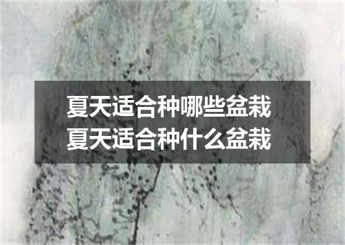 夏天适合种哪些盆栽 夏天适合种什么盆栽