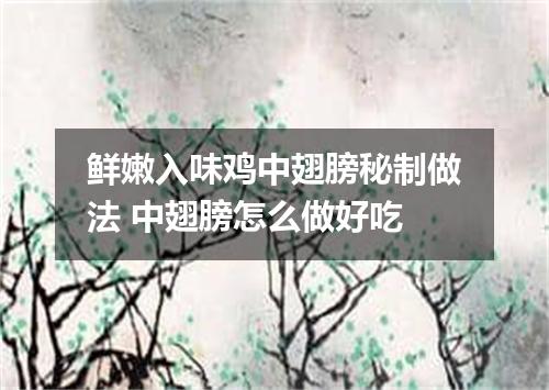 鲜嫩入味鸡中翅膀秘制做法 中翅膀怎么做好吃