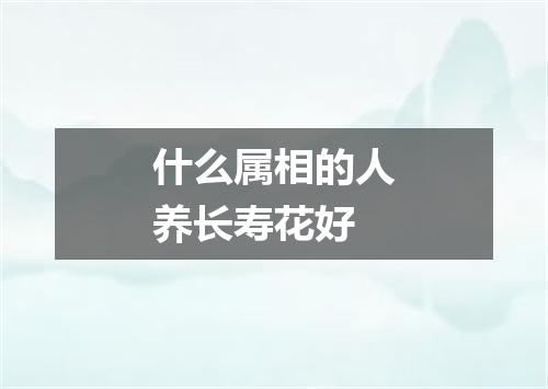 什么属相的人养长寿花好
