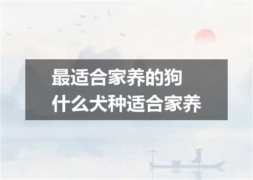 最适合家养的狗 什么犬种适合家养