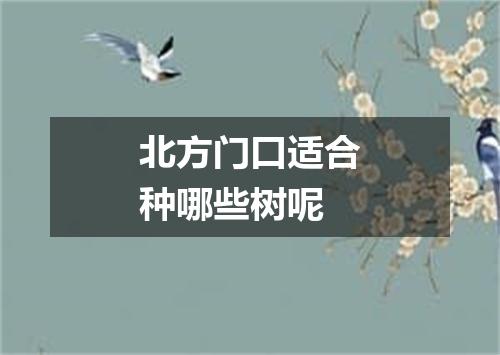 北方门口适合种哪些树呢