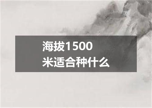 海拔1500米适合种什么