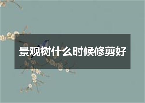 景观树什么时候修剪好