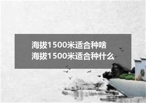 海拔1500米适合种啥 海拔1500米适合种什么