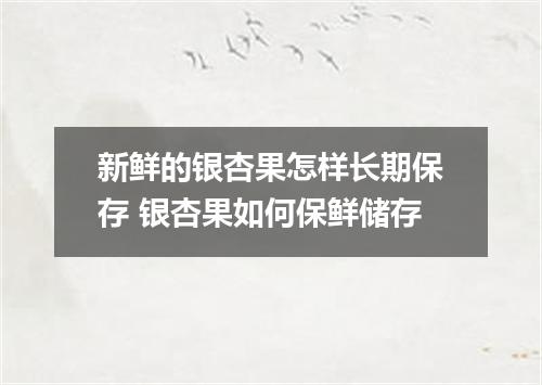 新鲜的银杏果怎样长期保存 银杏果如何保鲜储存