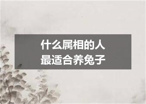 什么属相的人最适合养兔子