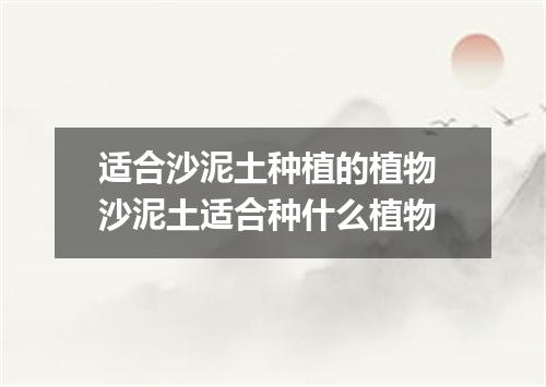 适合沙泥土种植的植物 沙泥土适合种什么植物