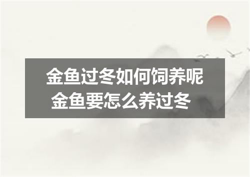 金鱼过冬如何饲养呢 金鱼要怎么养过冬