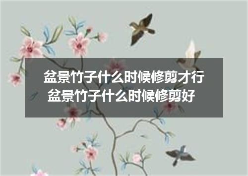 盆景竹子什么时候修剪才行 盆景竹子什么时候修剪好