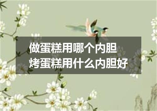 做蛋糕用哪个内胆 烤蛋糕用什么内胆好