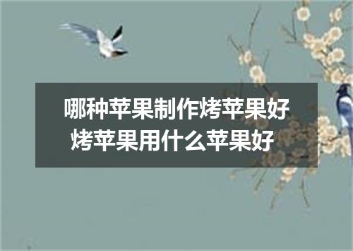 哪种苹果制作烤苹果好 烤苹果用什么苹果好