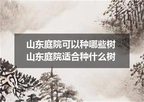 山东庭院可以种哪些树 山东庭院适合种什么树