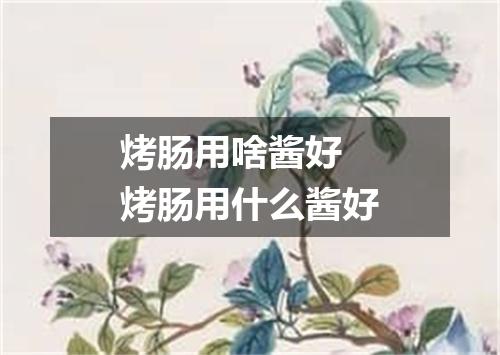 烤肠用啥酱好 烤肠用什么酱好