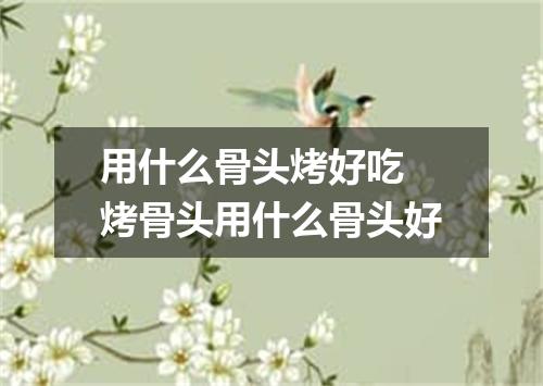 用什么骨头烤好吃 烤骨头用什么骨头好