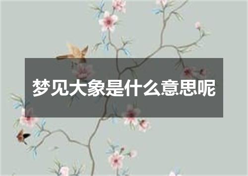 梦见大象是什么意思呢
