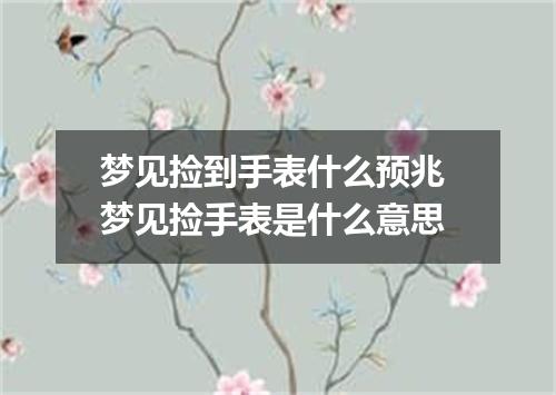 梦见捡到手表什么预兆 梦见捡手表是什么意思