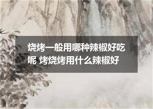 烧烤一般用哪种辣椒好吃呢 烤烧烤用什么辣椒好